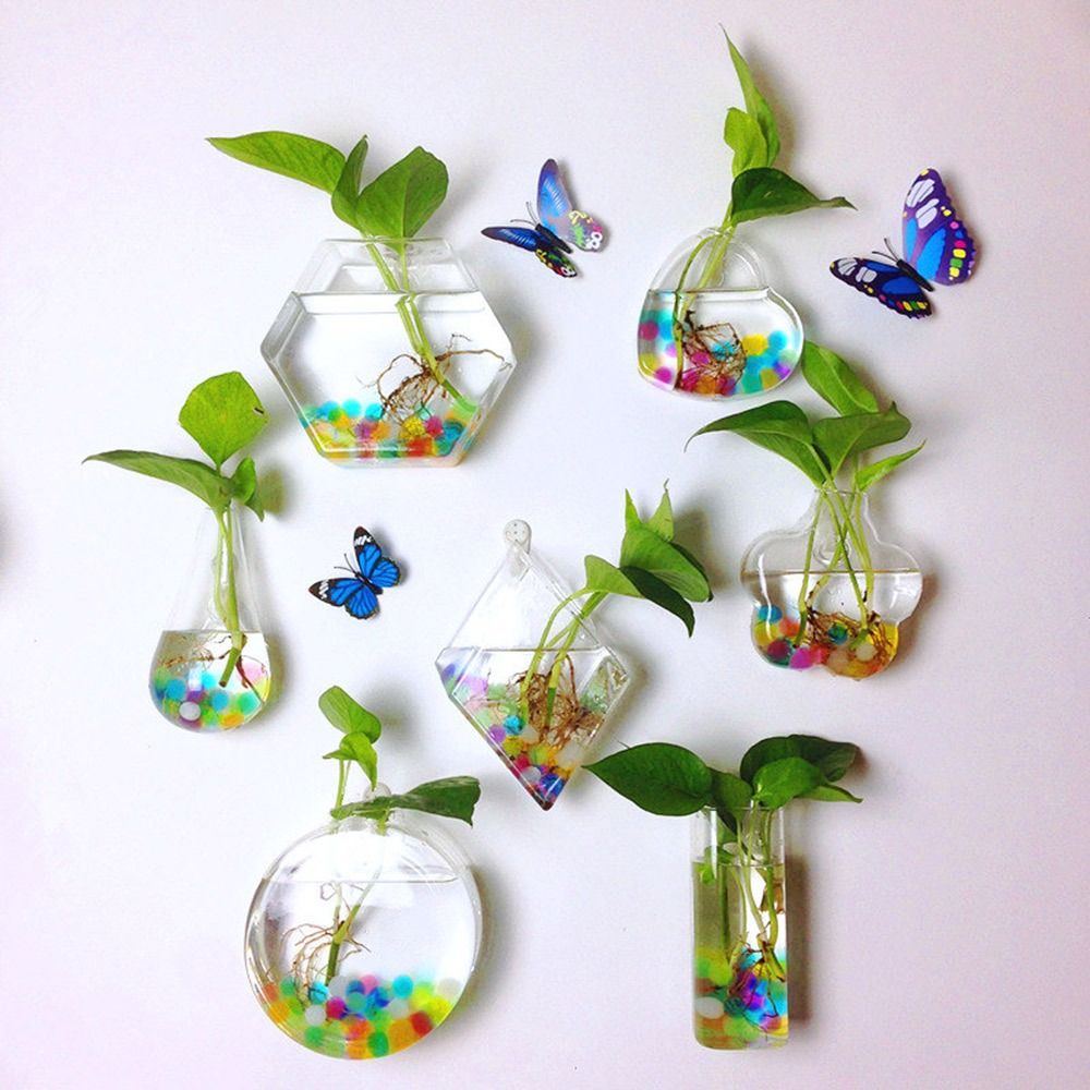 Aquarium Planted Wall - 원뿔 모양 벽걸이 꽃병 수경법 식물