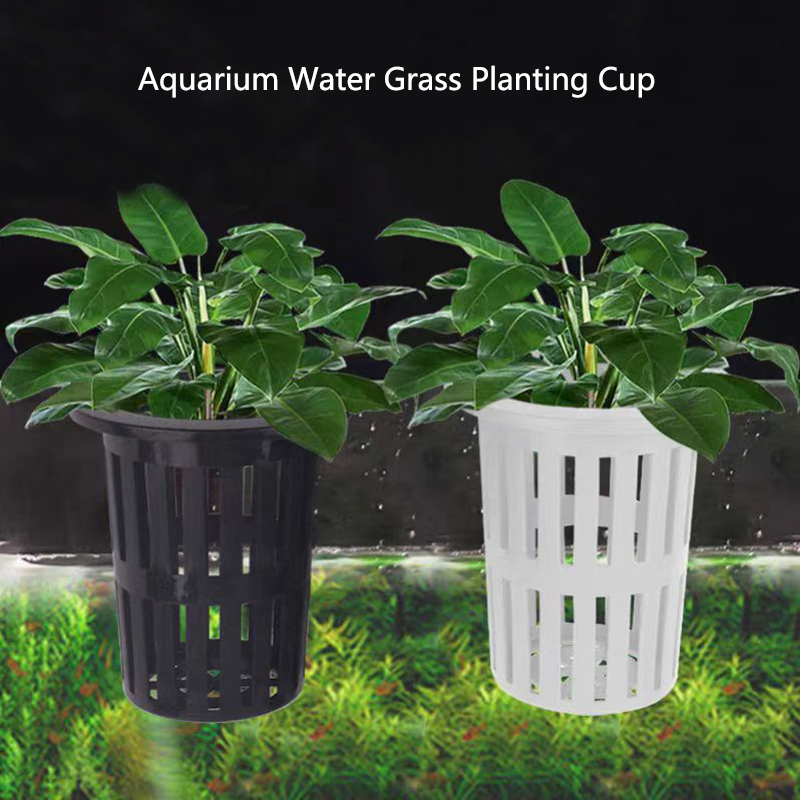 Aquarium Planted Wall - 1/3Pcs 수족관 식물 바구니 물고기 탱크에