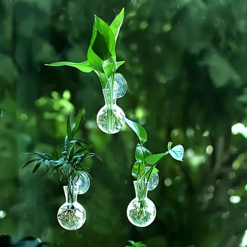 Aquarium Planted Wall - 창의적인 반원형 벽걸이 화병 꽃 접시
