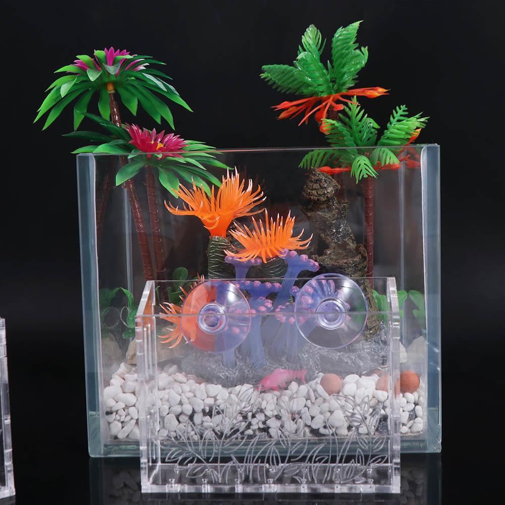 벽걸이 수족관 식물 컵 투명 플로팅 수생 식물 홀더 아 - Aquarium Planted Wall 리뷰 및 가격