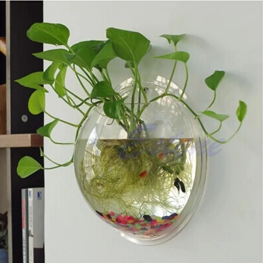 벽걸이 아크릴 어항 투명 벽걸이 수조 식물 화분 - Aquarium Planted Wall 리뷰 및 가격