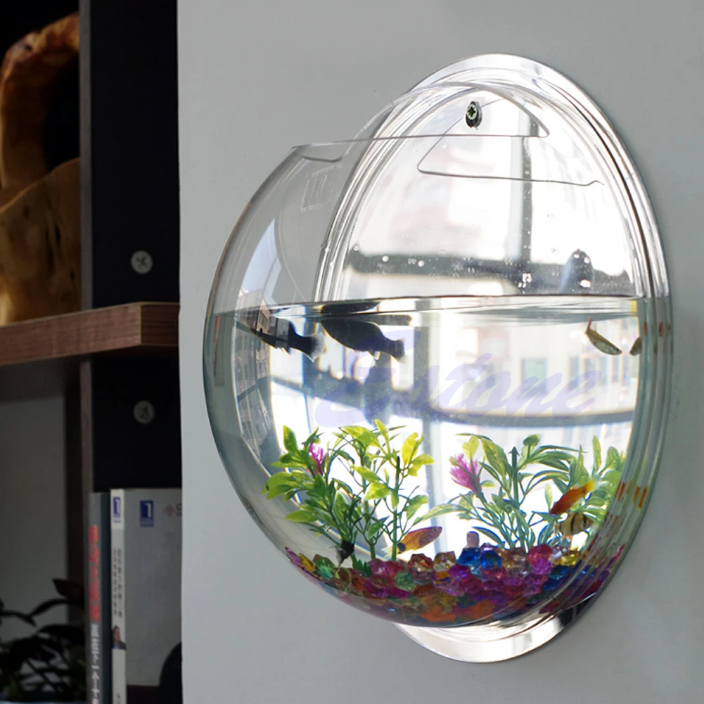 벽걸이 아크릴 어항 투명 벽걸이 수조 식물 화분 - Aquarium Planted Wall 리뷰 및 가격