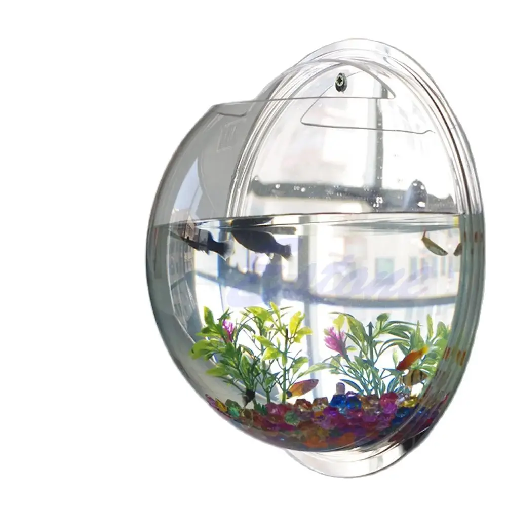 벽걸이 아크릴 어항 투명 벽걸이 수조 식물 화분 - Aquarium Planted Wall 리뷰 및 가격