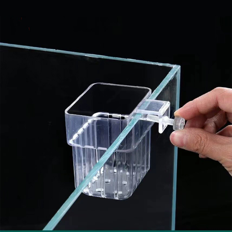 벽걸이형 수경 재배 컵 투명 용기, 수초 재배용, 수족 - Aquarium Planted Wall 리뷰 및 가격