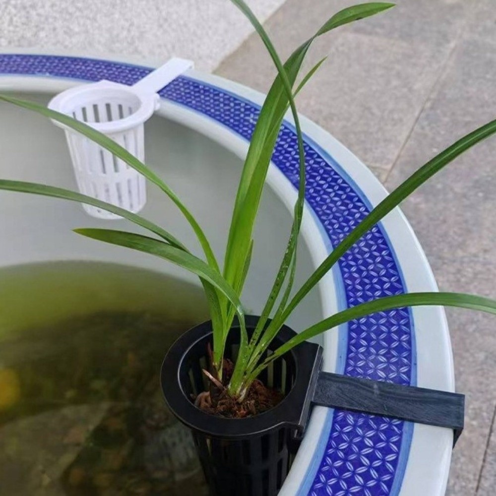 벽걸이형 수족관 식물 바구니 수경 재배 화분 플랜터 용 - Aquarium Planted Wall 리뷰 및 가격
