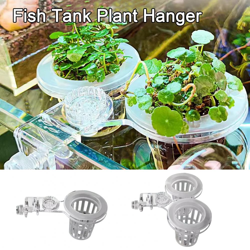 수족관 식물 홀더 벽걸이 형 수경 식물 바구니 물 잔디 - Aquarium Planted Wall 리뷰 및 가격