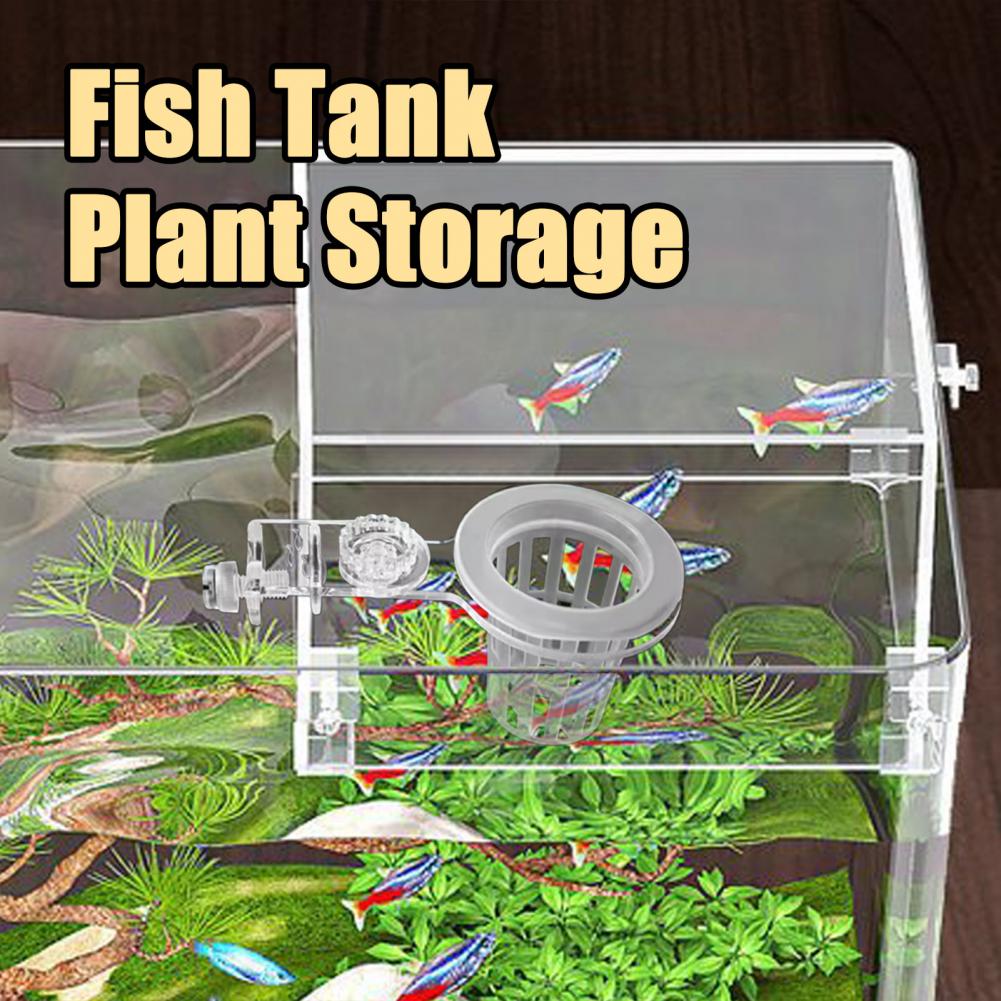 수족관 식물 홀더 벽걸이 형 수경 식물 바구니 물 잔디 - Aquarium Planted Wall 리뷰 및 가격