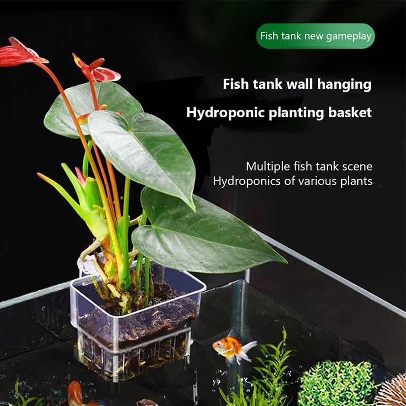 새로운【벽걸이형 수족관 화분 컵, 수생 식물 홀더, 수 - Aquarium Planted Wall 리뷰 및 가격