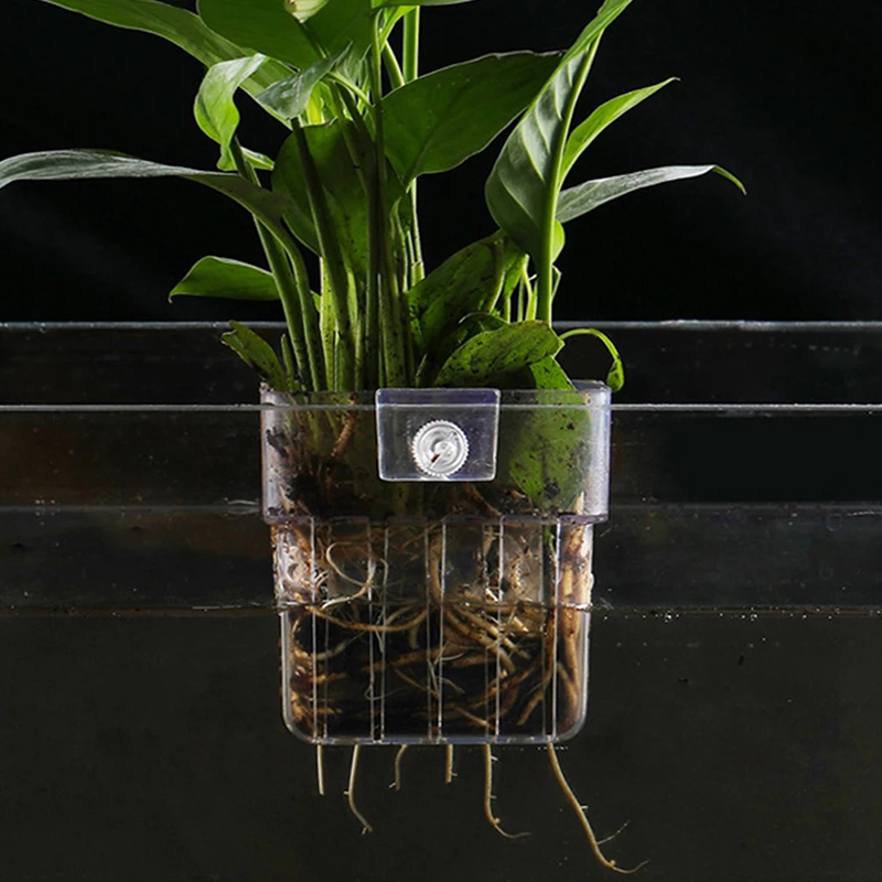 새로운【벽걸이형 수족관 화분 컵, 수생 식물 홀더, 수 - Aquarium Planted Wall 리뷰 및 가격