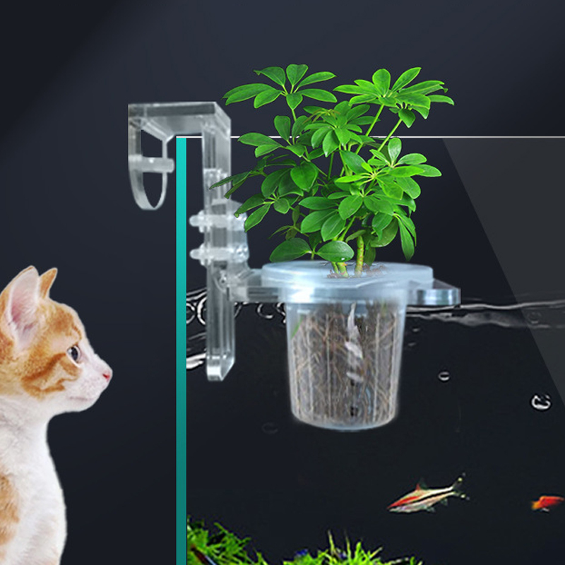물고기 탱크 심기 컵 수경 지원 바구니 물 잔디 수생  - Aquarium Planted Wall 리뷰 및 가격