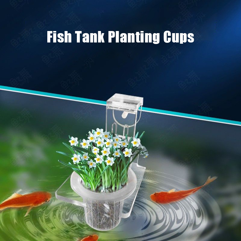물고기 탱크 심기 컵 수경 지원 바구니 물 잔디 수생  - Aquarium Planted Wall 리뷰 및 가격