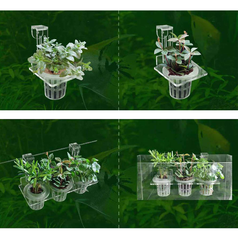 물고기 탱크 심기 컵 수경 지원 바구니 물 잔디 수생  - Aquarium Planted Wall 리뷰 및 가격