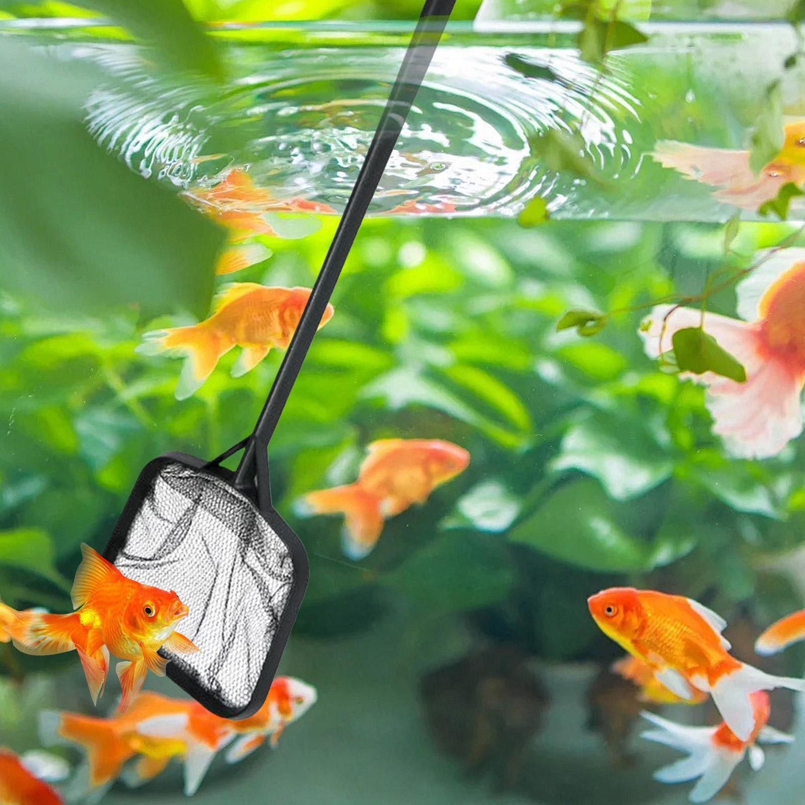휴대용 수영장 청소용 그물망, 분수 청소용품, 수족관/ - Planted Aquarium Cleaning 리뷰 및 가격