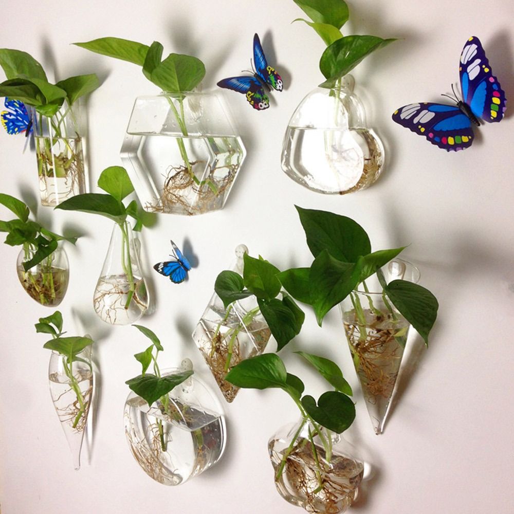 원뿔 모양 벽걸이 꽃병 수경법 식물 물고기 탱크 유리  - Aquarium Planted Wall 리뷰 및 가격