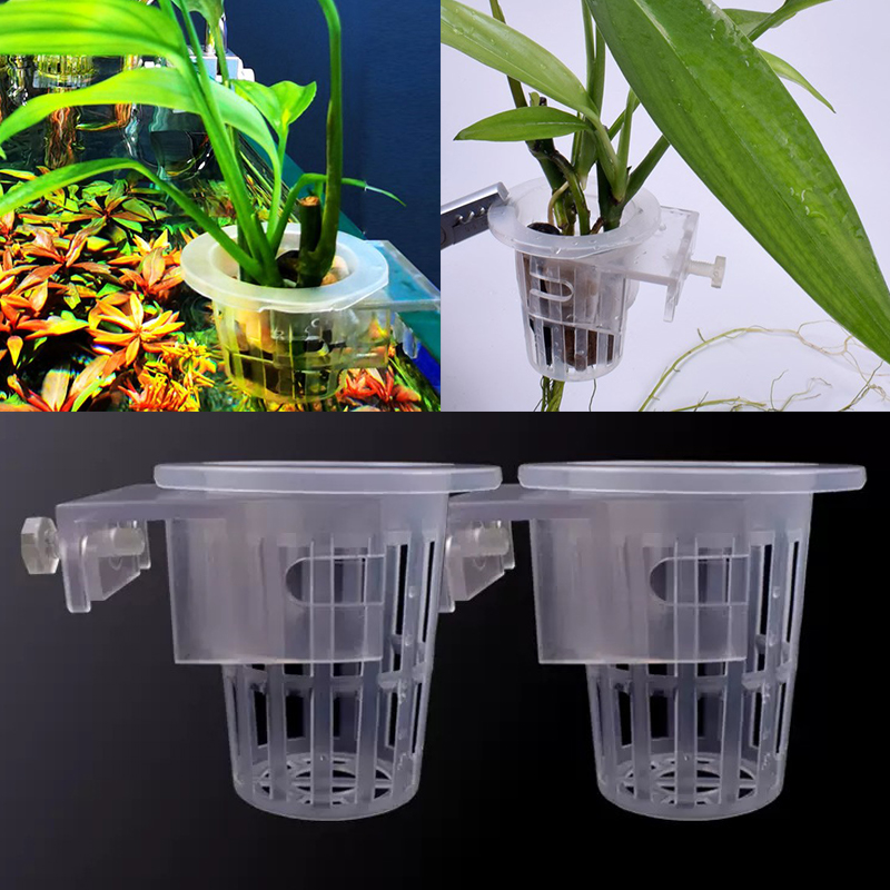 벽걸이 수생 식물 고정 컵, 어항 수족관, 조절 가능한 - Aquarium Planted Wall 리뷰 및 가격