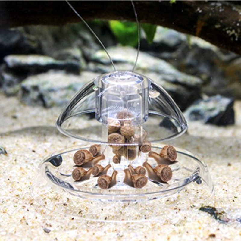 물고기 탱크 수족관 클리너, 달팽이 트랩 캐처, 식물  - Planted Aquarium Cleaning 리뷰 및 가격