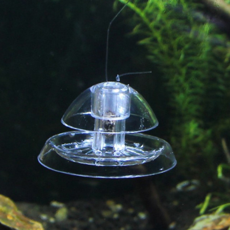 물고기 탱크 수족관 클리너, 달팽이 트랩 캐처, 식물  - Planted Aquarium Cleaning 리뷰 및 가격