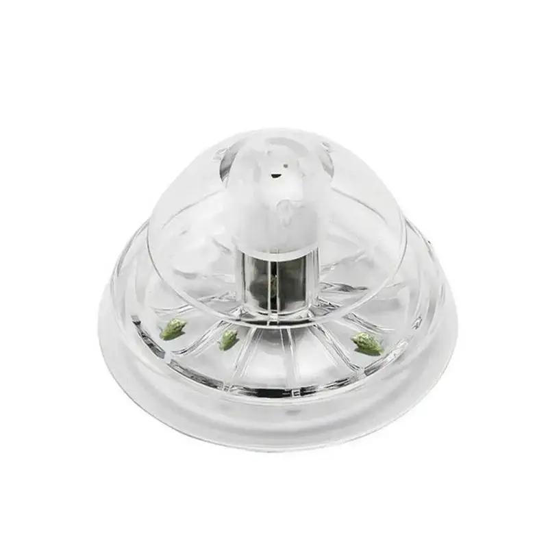 2026년형 새로운 6/8CM 투명 플라스틱 달팽이 트 - Planted Aquarium Cleaning 리뷰 및 가격