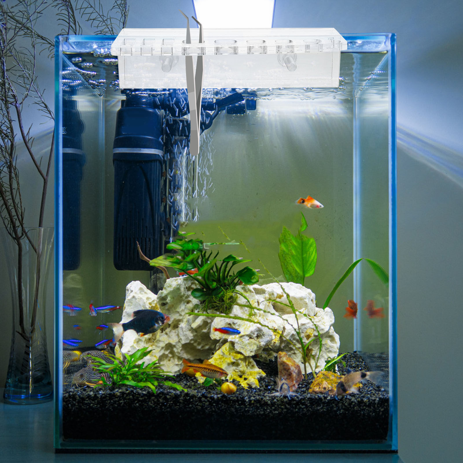 수족관 도구 홀더 아크릴 어항 보관 랙 수초 관리 정리 - Aquarium Planted Wall 리뷰 및 가격