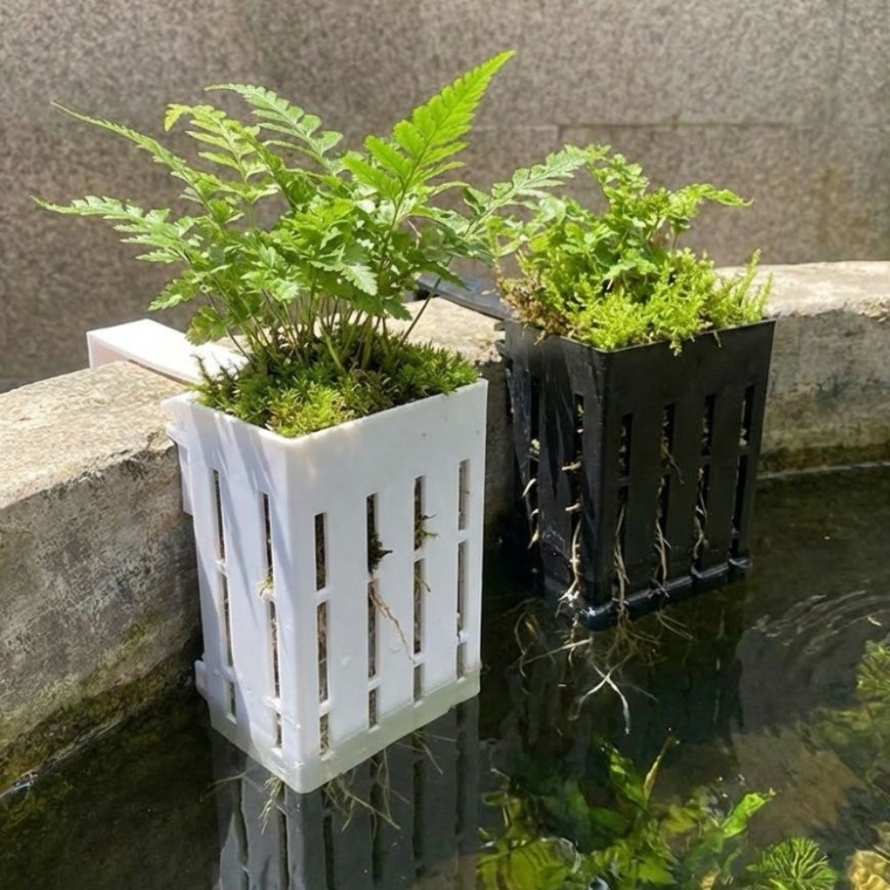 벽걸이형 수족관 식물 바구니 플라스틱 수경재배 화분 수 - Aquarium Planted Wall 리뷰 및 가격