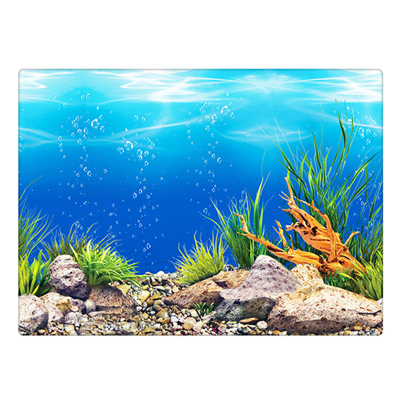 수족관 배경 장식 스티커 물고기 탱크 풍경 스티커 포스 - Planted Aquarium Wallpaper 리뷰 및 가격
