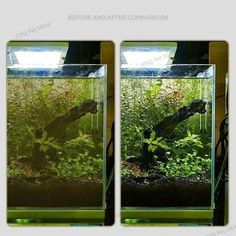 수조 청소 도구 평면 모래 조류 제거 이중 용도 유리  - Planted Aquarium Cleaning 리뷰 및 가격