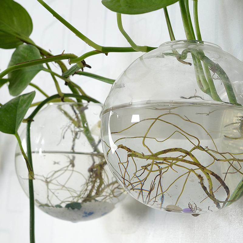 벽걸이 아크릴 어항 플렉시글라스 수족관 꽃병 장식 투명 - Aquarium Planted Wall 리뷰 및 가격