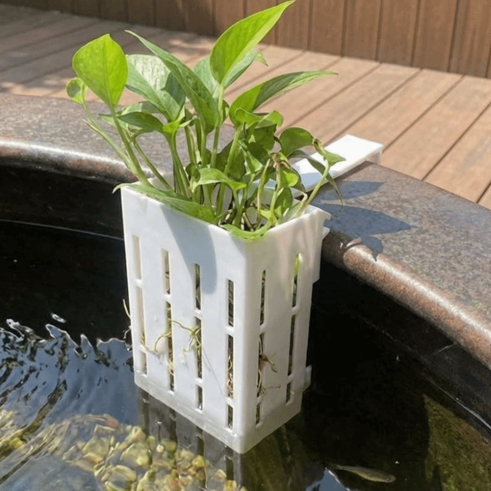 벽걸이형 수족관 식물 바구니 수경 재배 화분 수경 재배 - Aquarium Planted Wall 리뷰 및 가격