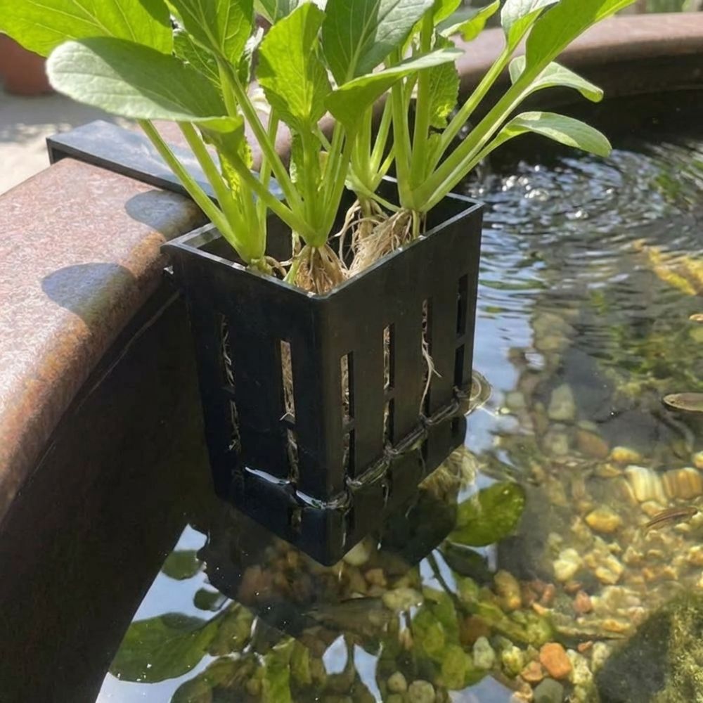 벽걸이형 수족관 식물 바구니 수경 재배 화분 수경 재배 - Aquarium Planted Wall 리뷰 및 가격