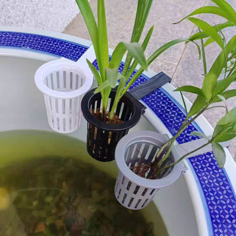 1/3Pcs 수족관 식물 바구니 물고기 탱크에 대 한  - Aquarium Planted Wall 리뷰 및 가격