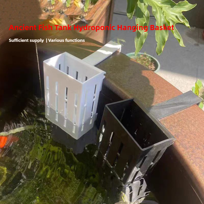 1/3Pcs 수족관 식물 바구니 물고기 탱크에 대 한  - Aquarium Planted Wall 리뷰 및 가격
