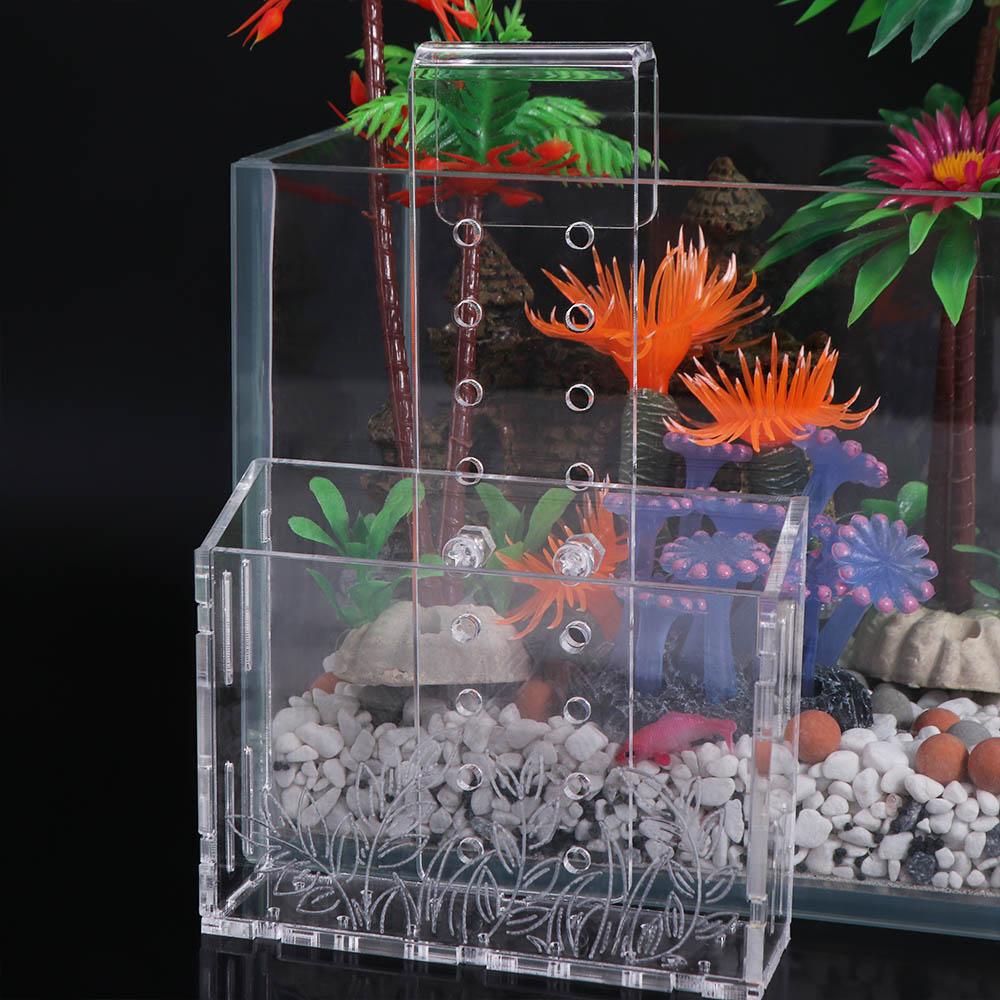 벽걸이 수족관 식물 컵 투명 아크릴 수생 식물 홀더 흡 - Aquarium Planted Wall 리뷰 및 가격