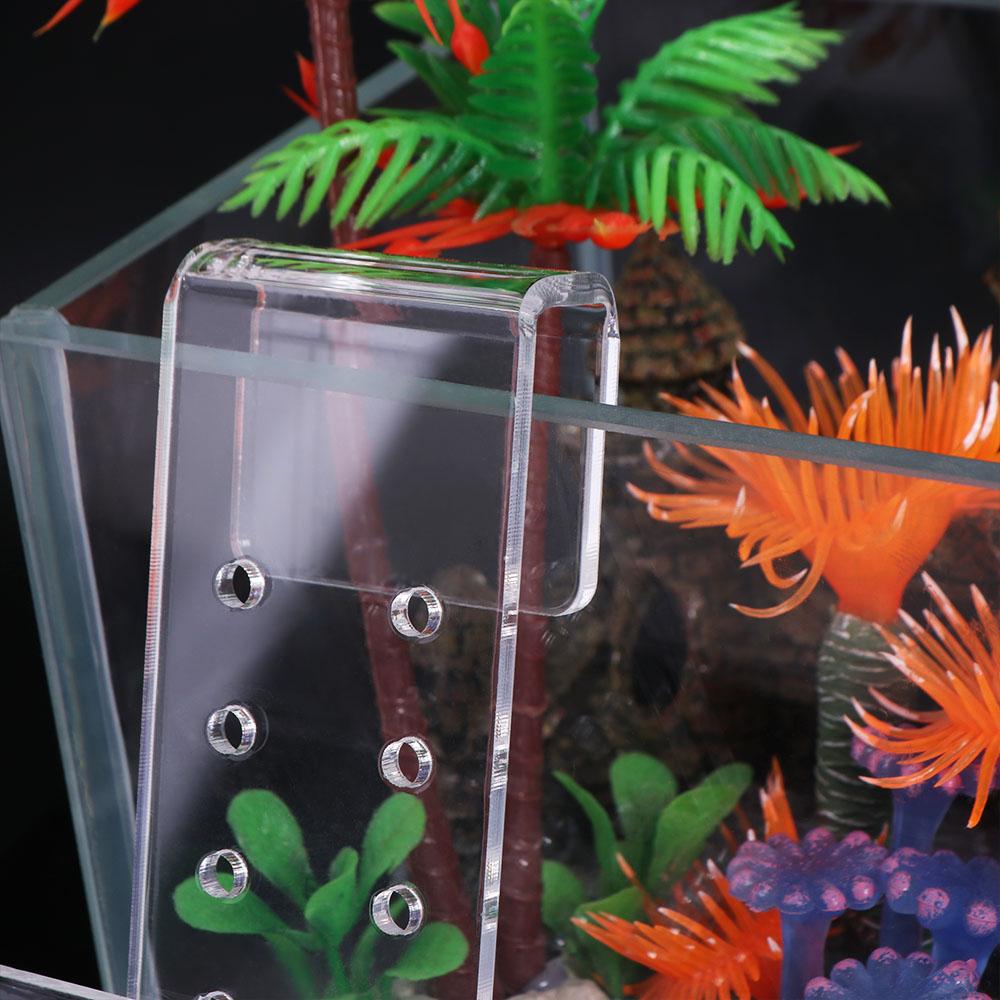 벽걸이 수족관 식물 컵 투명 아크릴 수생 식물 홀더 흡 - Aquarium Planted Wall 리뷰 및 가격