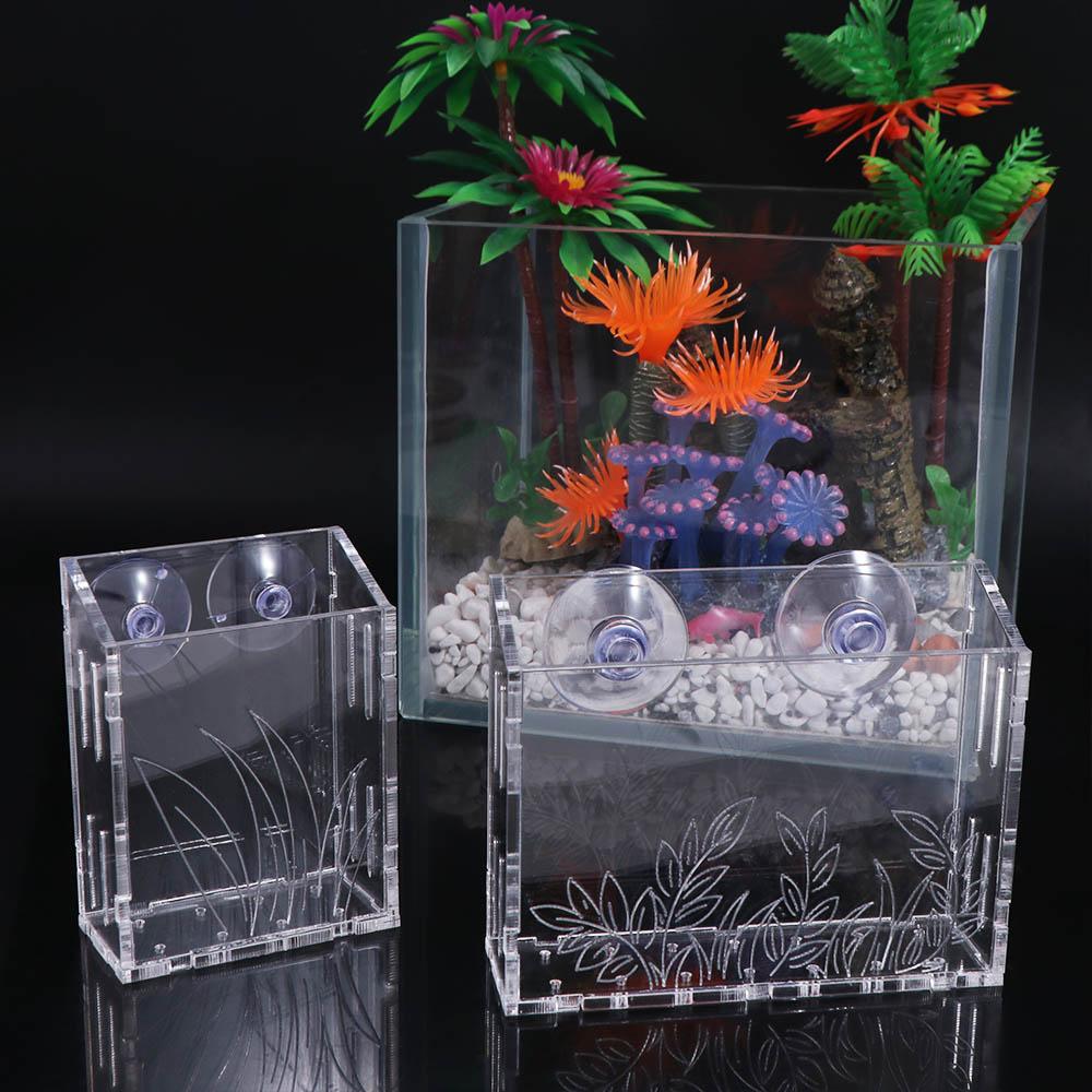 벽걸이 수족관 식물 컵 투명 아크릴 수생 식물 홀더 흡 - Aquarium Planted Wall 리뷰 및 가격