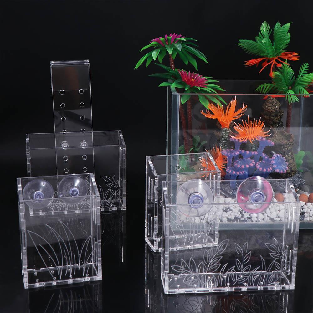 벽걸이 수족관 식물 컵 투명 아크릴 수생 식물 홀더 흡 - Aquarium Planted Wall 리뷰 및 가격