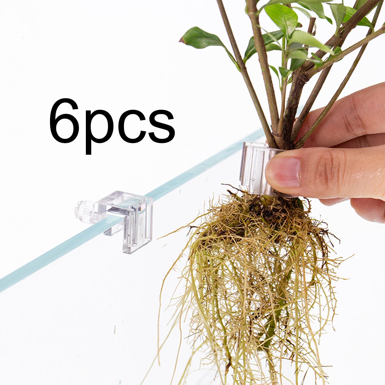 내구성이 뛰어난 투명한 수족관 벽걸이형 식물 홀더, 수 - Aquarium Planted Wall 리뷰 및 가격