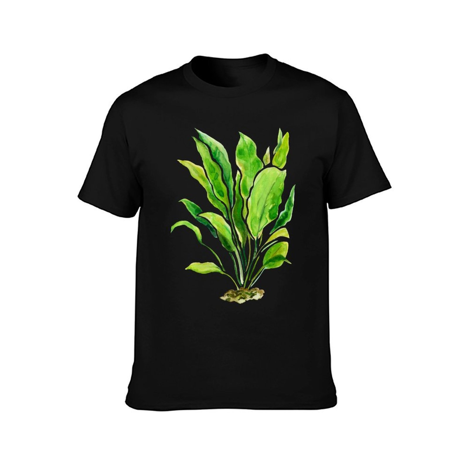 아쿠아리움 플랜츠 시리즈 아마존 소드 티셔츠 일상복 기 - Planted Aquarium Basics 리뷰 및 가격