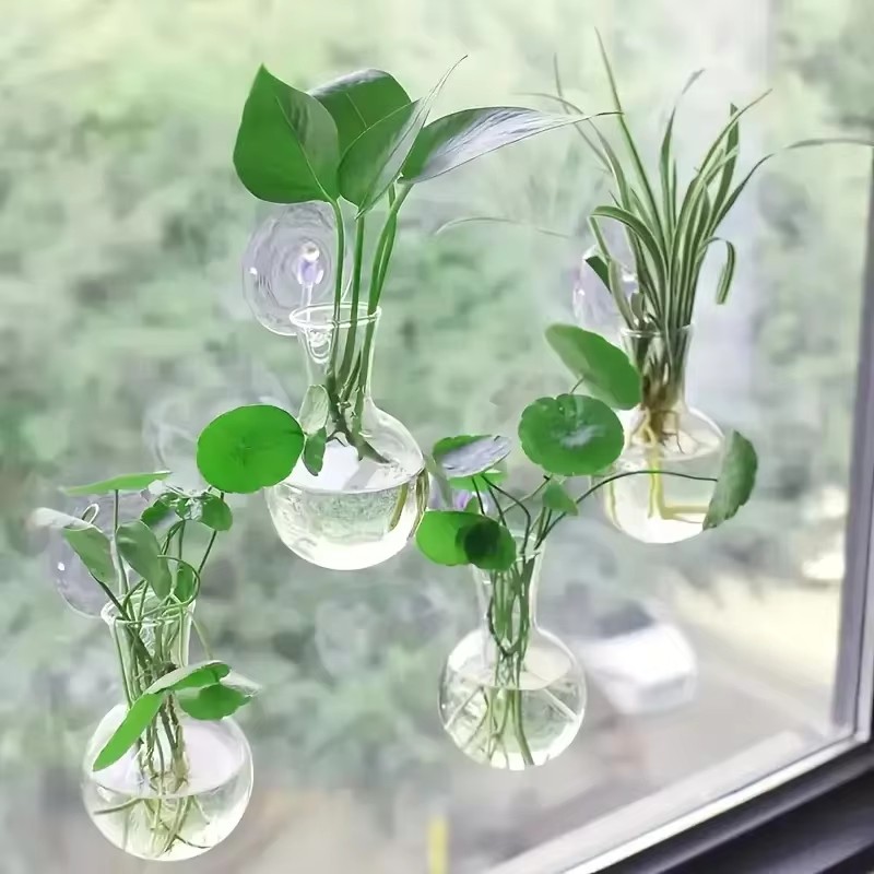 창의적인 반원형 벽걸이 화병 꽃 접시 식물 수경 재배  - Aquarium Planted Wall 리뷰 및 가격