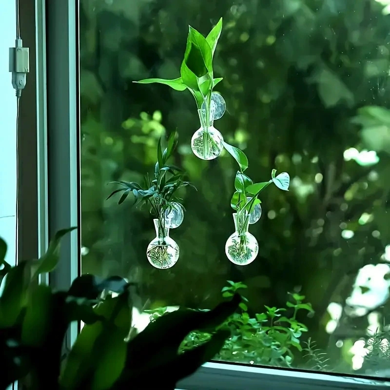 창의적인 반원형 벽걸이 화병 꽃 접시 식물 수경 재배  - Aquarium Planted Wall 리뷰 및 가격