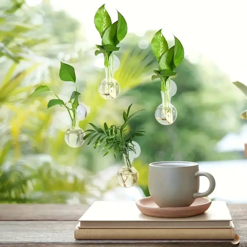 창의적인 반원형 벽걸이 화병 꽃 접시 식물 수경 재배  - Aquarium Planted Wall 리뷰 및 가격